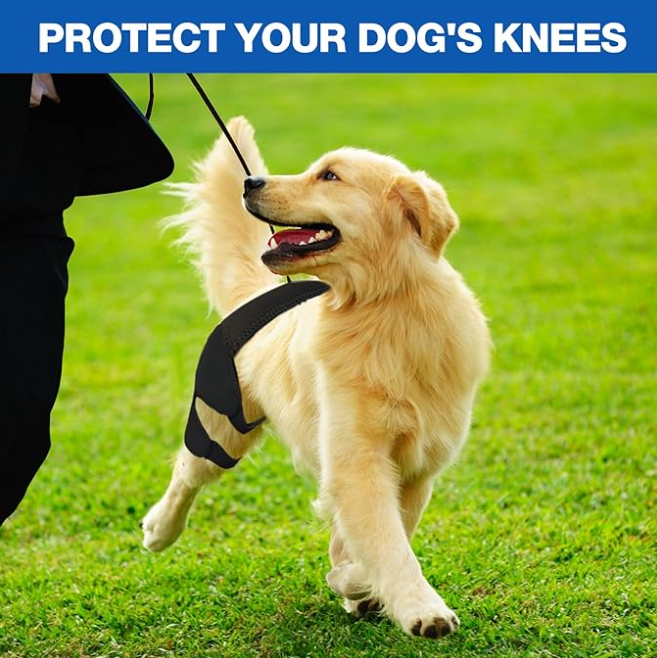 Single Leg Dog Knee Brace