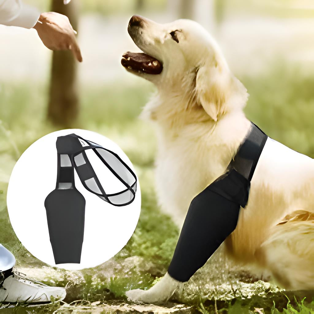 Single Leg Dog Knee Brace