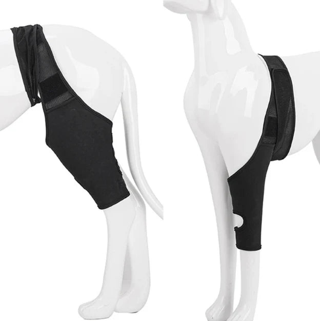 Single Leg Dog Knee Brace