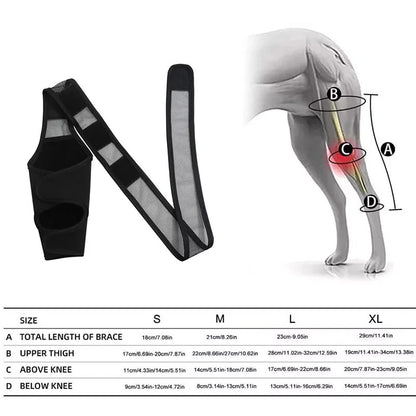 Single Leg Dog Knee Brace